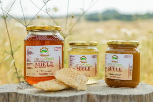 Φωτογραφία από το άλμπουμ του Agriturismo La Valle della Lavanda - Podere Mezzastrada σε Fauglia
