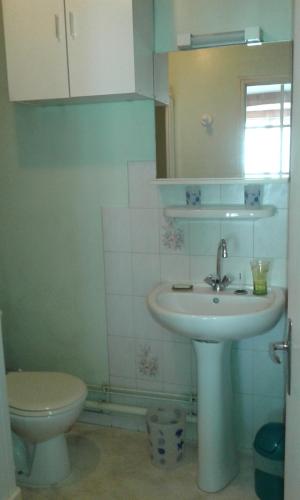 a bathroom with a sink and a toilet at LE SULTAN DU THERON 1er Etage in Le Puy-en-Velay