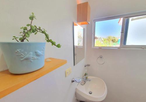 a bathroom with a toilet and a potted plant on a shelf at Adventure Inn La Paz in La Paz