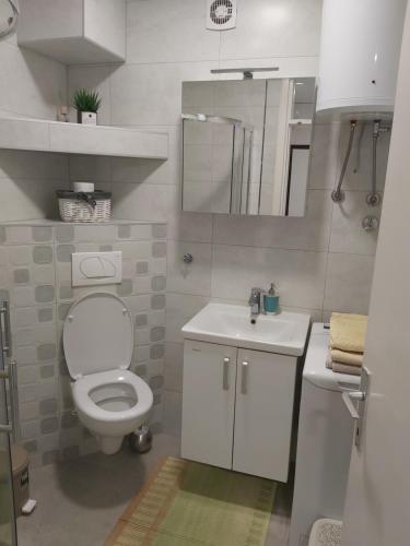 uma casa de banho com um WC, um lavatório e um espelho. em Apartment Markic Boras em Mostar