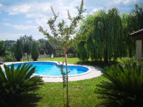 a small tree next to a swimming pool in a yard at Villa Fabry in Ploče