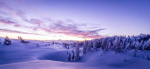 a snow covered field with trees and a sunset at Ferienhaus Seeblick in Drobollach am Faakersee