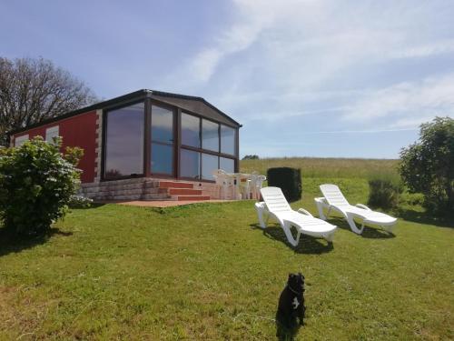 a dog standing in the grass in front of a cabin at Bungalow in Laredo