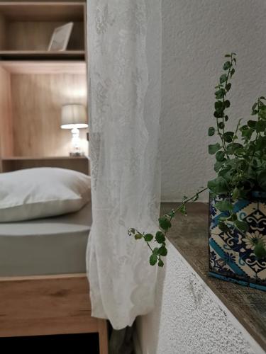 a bedroom with a bed and a plant on a counter at Apartmani Tripalo in Imotski