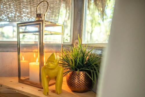 Gambar di galeri bagi hippomoon lodge game reserve di Hoedspruit