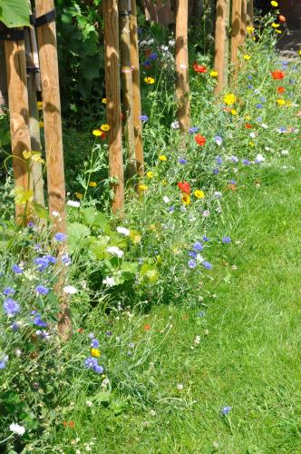 a garden with colorful flowers next to a wooden fence at B&B Pierre-Marie in Bovekerke