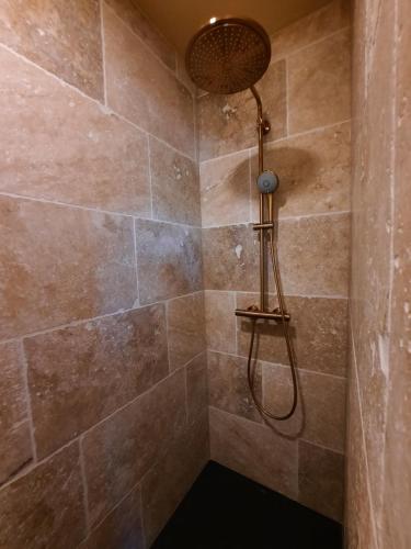a shower with a shower head in a bathroom at B&B Scheldekant in Oudenaarde