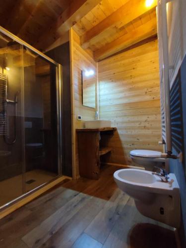 a bathroom with a toilet and a sink and a shower at Appartamento sul Ruscello in Ponte di Legno