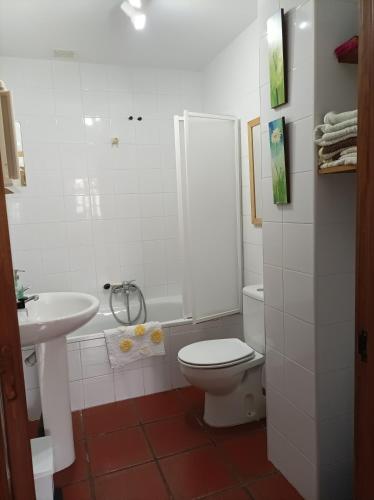 a bathroom with a shower and a toilet and a sink at Posada la Torre in Serdió