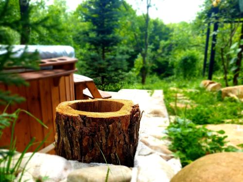 a tree stump sitting in the middle of a garden at Mystically Wood House in The Forest in Cîrjari