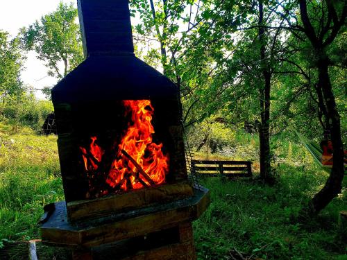a fire in a brick oven in a field at Mystically Wood House in The Forest in Cîrjari