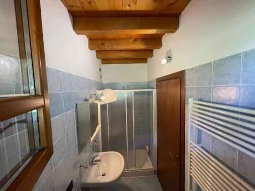 uma casa de banho com um lavatório e um chuveiro em La FIOCCHINA - Magic Place - apartments & studios in Garda Lake - countryside farmhouse, inside the middle of the lake em Salò