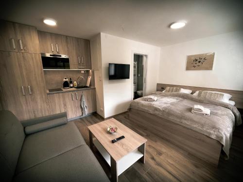 sypialnia z łóżkiem, kanapą i stołem w obiekcie U Králíka, přízemní bezbarierové apartmány A,B,C,D - 50 metrů od vleku - přejdete v lyžácích, pod bobovou dráhou, parkování zdarma, lyžárna s vysoušeči bot, w mieście Dolní Morava