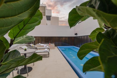 una piscina en la azotea de un edificio con plantas en Hotel Sites Barranquilla, en Barranquilla