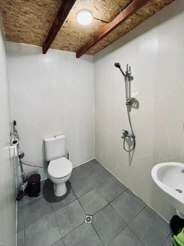 a bathroom with a toilet and a sink at karavana.ta in Chernomorets