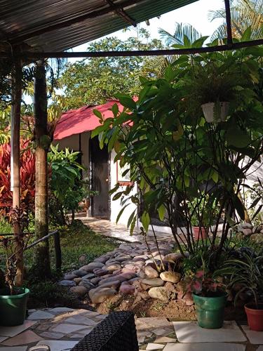 un jardín con una pasarela de piedra frente a una casa en PosadaManduka Eco-Hostel en Villavicencio