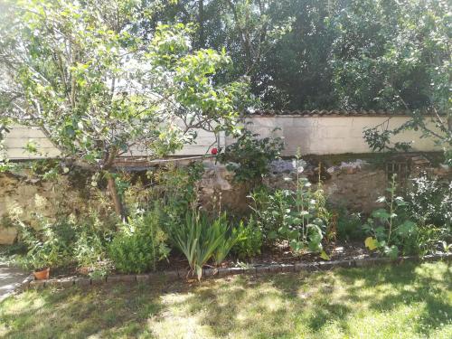 Photo de la galerie de l'établissement Les jardins de Beauverger, au Mans