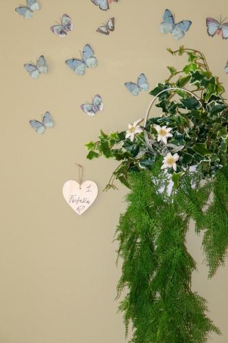 a bunch of butterflies on a wall with a plant at hotel Parco Pineta in Cavareno