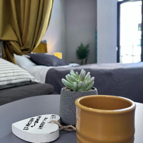 una mesa de café con una olla y una planta en ella en STUDIO near the Round garden, en Tiflis