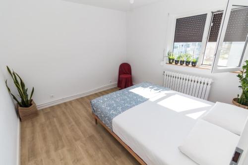 a white bedroom with a bed and two windows at Apartamentul cu plante Etaj 4 in Mangalia