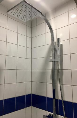 La salle de bains est pourvue d'une douche et de carrelage bleu et blanc. dans l'établissement Au coin romantique Vernon Giverny, à Vernon