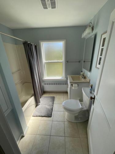 a bathroom with a toilet and a sink and a shower at Captain's Residence in Marquette