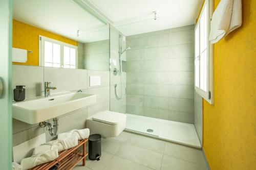 uma casa de banho com um lavatório, um WC e um chuveiro em Gästehaus am Schlossplatz Z. 3 em Meersburg