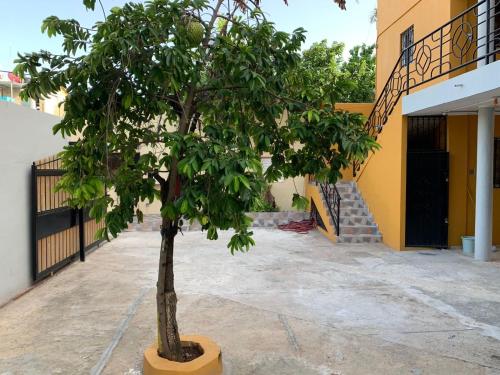a tree in a courtyard next to a building at Glamour Hotel in La Romana