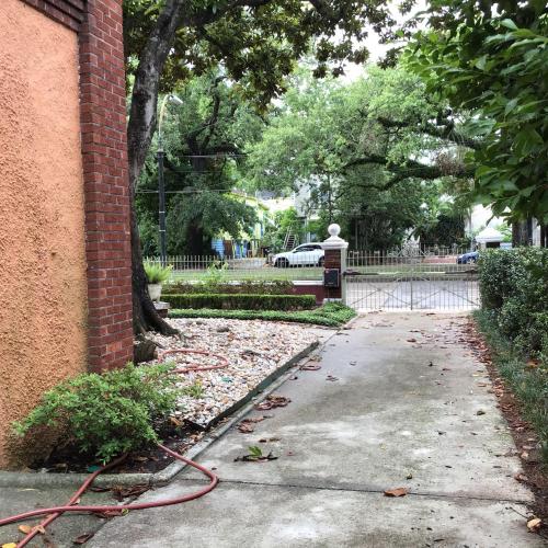 Κήπος έξω από το New Orleans Premier Rentals