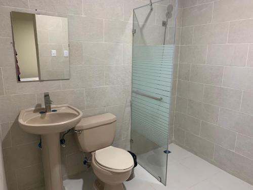 ein Bad mit einem WC, einem Waschbecken und einer Dusche in der Unterkunft Glamour Hotel in La Romana