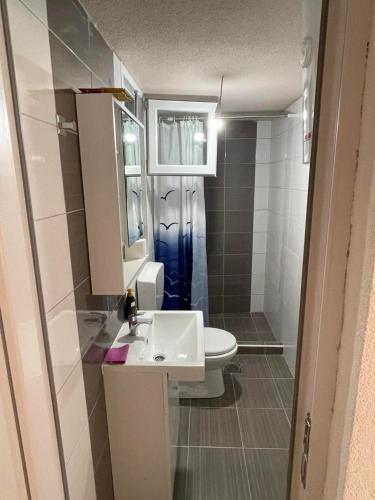 a small bathroom with a sink and a toilet at Apartmani Mihajlović in Herceg-Novi