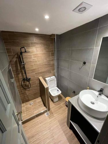 a bathroom with a toilet and a sink at Grecos ART SKIATHOS in Skiathos Town