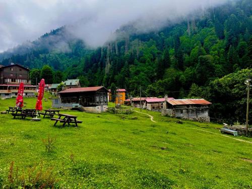 a green field with picnic tables in front of a mountain at Ayder Vesile Otel in Ayder Yaylasi