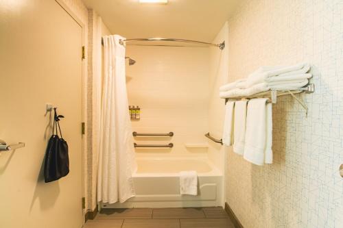 a bathroom with a tub and a shower with towels at Holiday Inn Express & Suites - Lincoln East - White Mountains by IHG in Lincoln