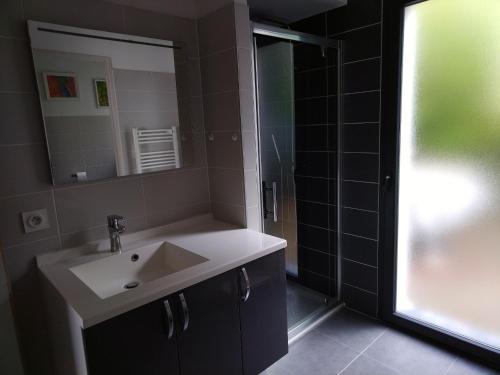 une salle de bain avec un lavabo, un miroir et une douche dans l'établissement ANGLET petite Maison à 2 kms des plages et de Biarritz, à Anglet
