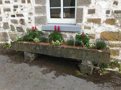 a stone bench with flowers in front of a window at Gasthof Feische in Hellefeld