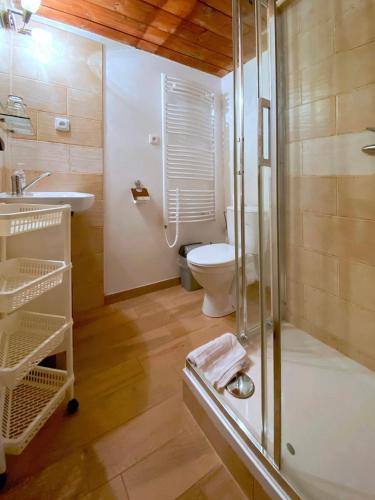 a bathroom with a toilet and a sink and a shower at Penzion a Restaurace U Paseků in Harrachov