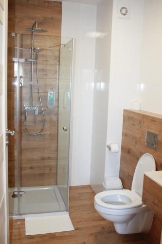 a bathroom with a toilet and a glass shower at Perła Dunajca Zakliczyn in Zakliczyn