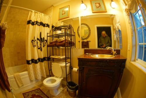a bathroom with a sink and a toilet and a mirror at FLEUR DE LAC EUROPERAN INn in Lake Arrowhead