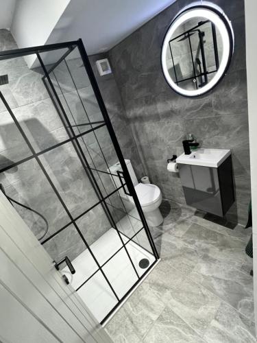 a bathroom with a shower and a toilet and a mirror at Town centre 2 bed luxury apartment in Wick