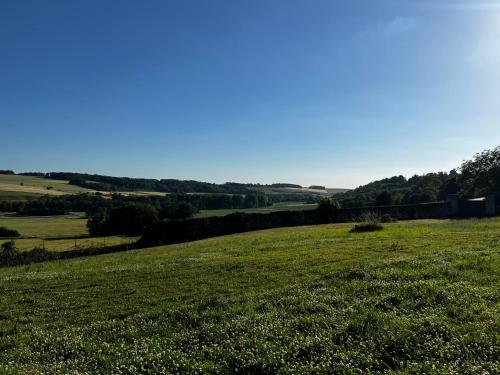 a field of green grass with a blue sky in the background at Demeure de la Garenne in Montmirail