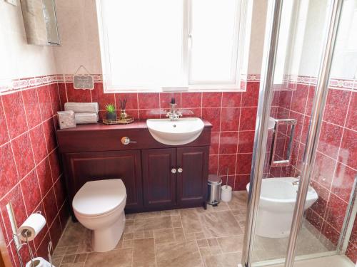 La salle de bains est pourvue de toilettes, d'un lavabo et d'une douche. dans l'établissement Glebe Farm Cottage, à Newry
