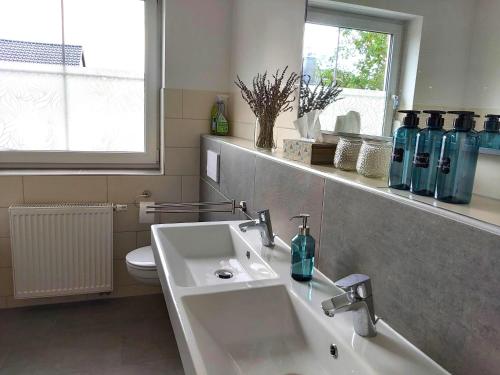 bagno con lavandino e servizi igienici di Ferienwohnung mit Terrasse am Rosengarten ad Alzenau in Unterfranken