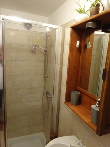 a bathroom with a shower and a toilet and a sink at Pri kovačih, Istra autentica in Movraž