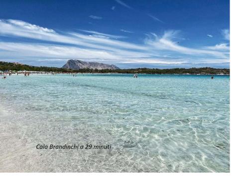 奧爾比亞的住宿－APPARTAMENTO CORALLO with PRIVATE GARDEN，和水中的人一起欣赏海滩的景色