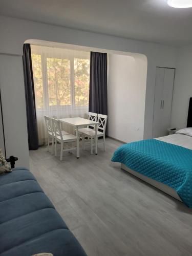 um quarto com uma cama, uma mesa e cadeiras em Zenlux em Iaşi