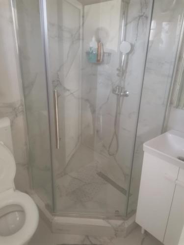 uma cabina de duche na casa de banho com WC em Zenlux em Iaşi