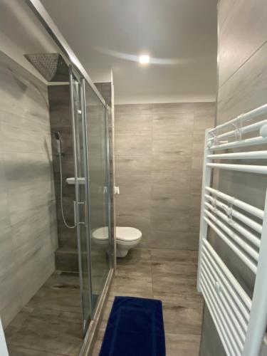La salle de bains est pourvue de toilettes et d'une douche en verre. dans l'établissement Apartmán č. 19, à Harrachov