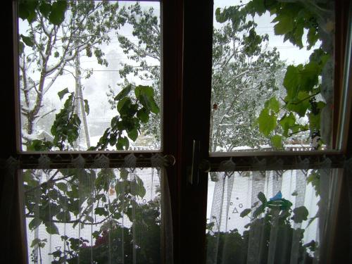 two windows in a room looking out at a tree at Untersteinhof in Forstau