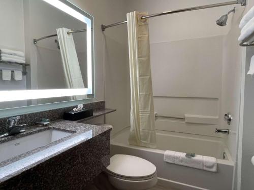 a bathroom with a sink and a toilet and a shower at Best Western Roanoke Inn & Suites in Roanoke
